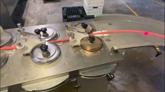 DXD-800Q Fully Automatic Chewing Gum Flow Wrapping