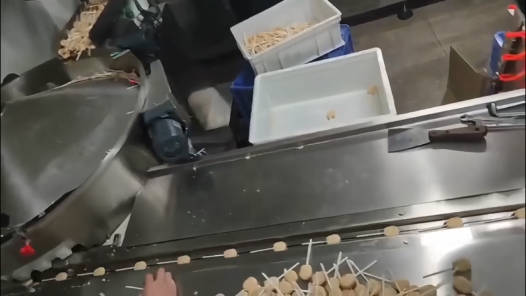 DXD-1200 Automatic Lollipop Feeding and Flow Wrapping