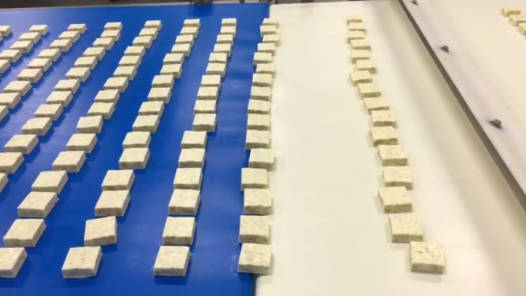 DXD-660 Automatic Protein Bar Feeding and Flow Wrapping